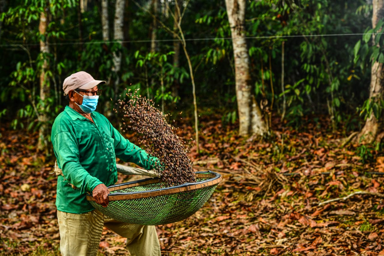 Café Apuí